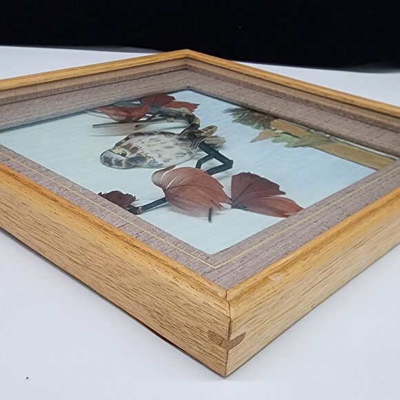 Vintage Bird Eagle Art Shadow Box Feathers Leaves Wooden Frame Nature Scene - Picture 8 of 12